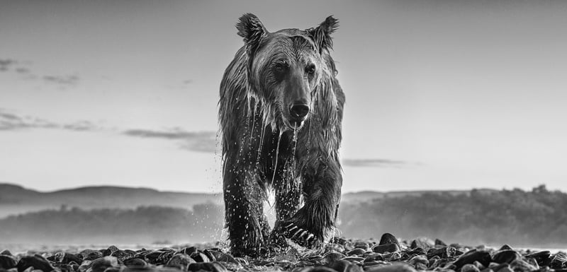 Hyde Park Corner Shines with David Yarrow’s Epic “Storytelling” Exhibition at Scapegoat Gallery