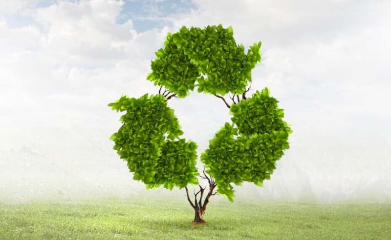 The Profound Importance of Recycling: Preserving Our Planet for Future Generations