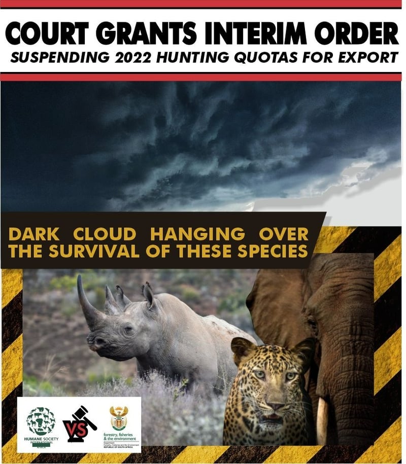 HSI/Africa VS DFFE urgent court action ongoing