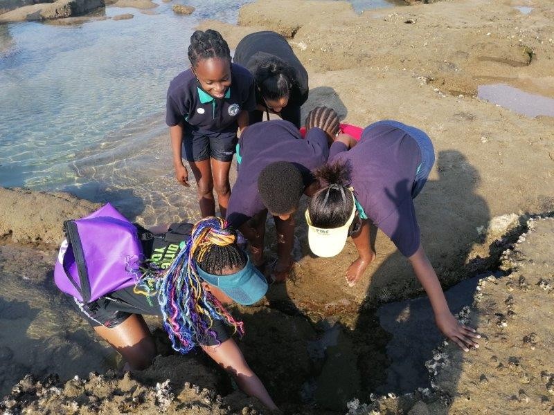 Celebrate MPA Day with one of these fun, ocean-focused activities