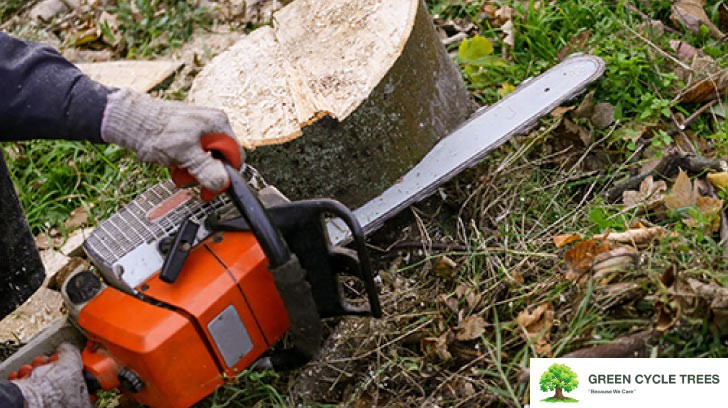 Professional stump grinding services from Green Cycle Trees