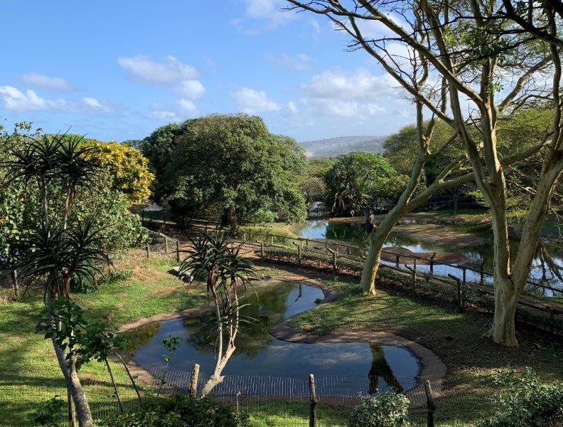 Fantastic holiday camp hosted at Crocworld Conservation Centre this December