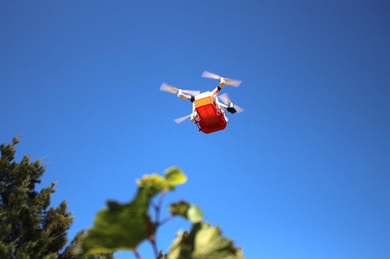 Drones deliver predator bugs for sustainable pest control at Vergelegen