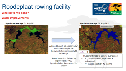 Global Rowing Regatta Breathing New Life Into Roodeplaat Dam