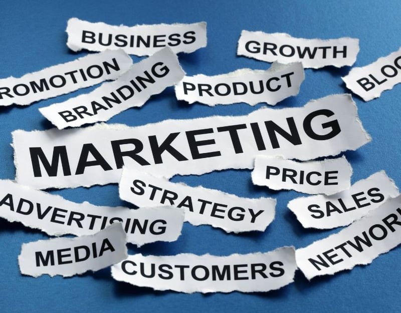 Why You Need a Student Marketing Agency