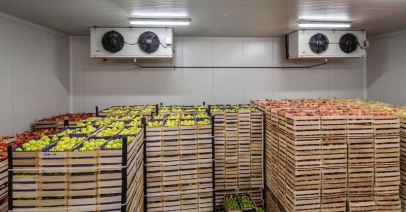 Practical Cold Storage Solutions for Modern Businesses