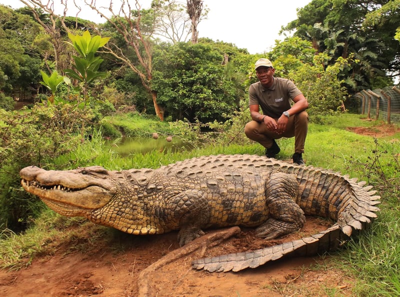 Crocworld welcomes new Animal Curator to this dynamic conservation team