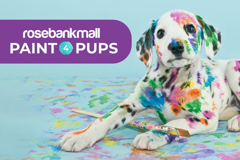 Sip & Paint For Pups at the Rosebank Mall this Festive Season