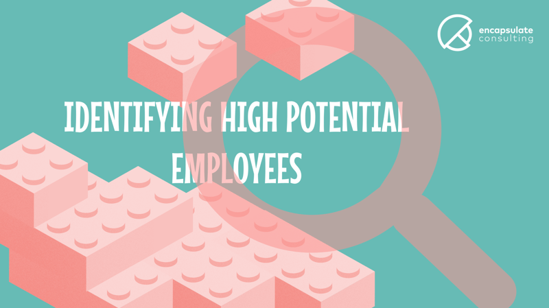 How do you identify High Potential Employees?