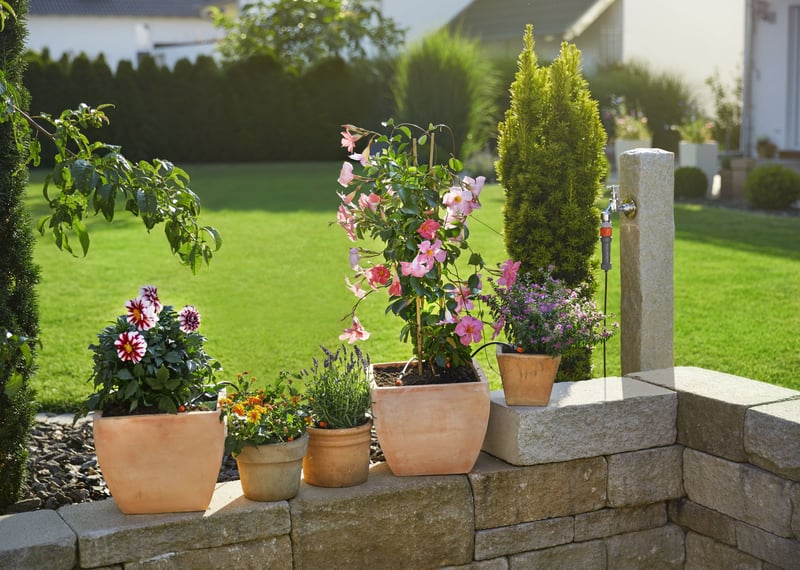 Discover the joy of gardening with GARDENA