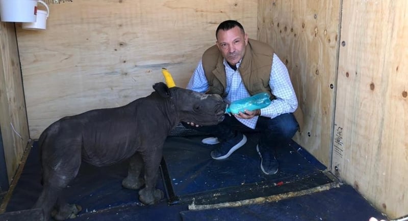 Saving Private Rhino & Western Cape Rhino Orphanage