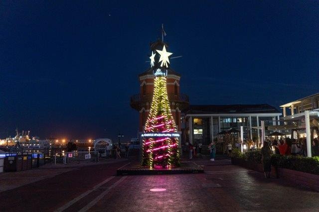 Pongrácz Tree Illuminates V&A Waterfront for Festive Celebrations