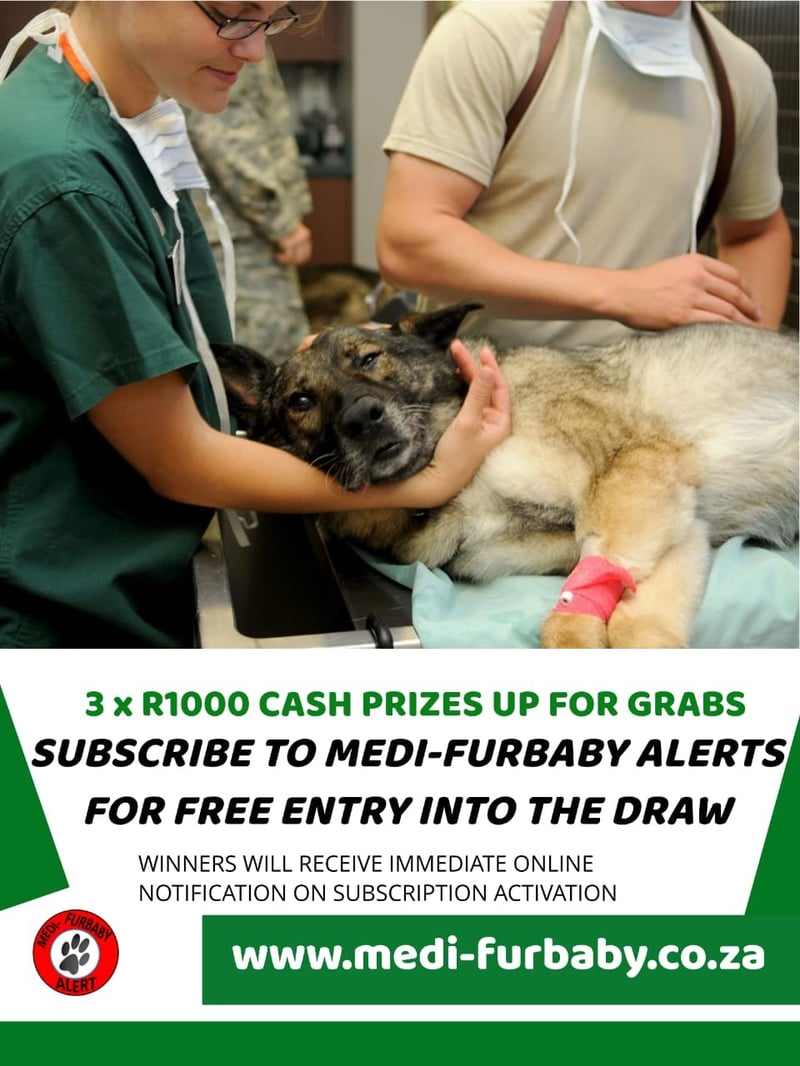 Medi-Furbaby has launched and You could Win Cash