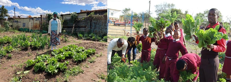 Sowing the seeds of sustainability with Starbucks during Earth Month