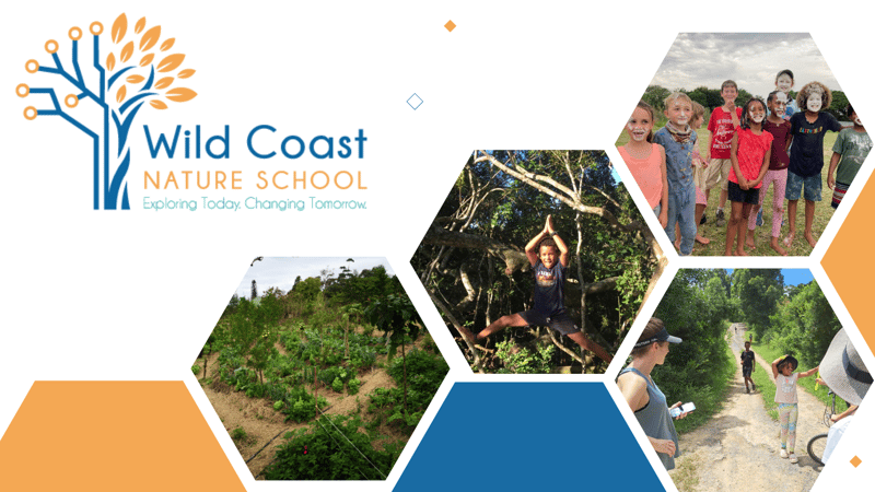 Wild Coast Nature School: Revolutionizing Education and Now Open for Admissions