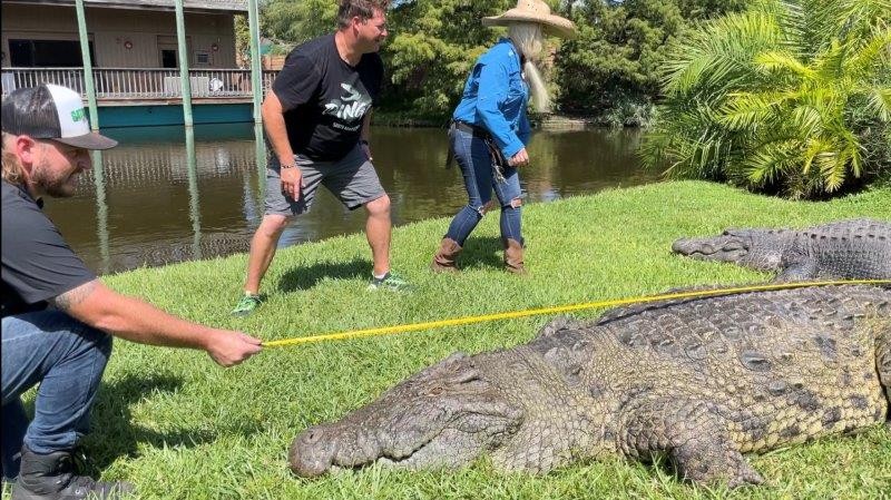 Help Dingo in his search for the World’s Largest Crocodile