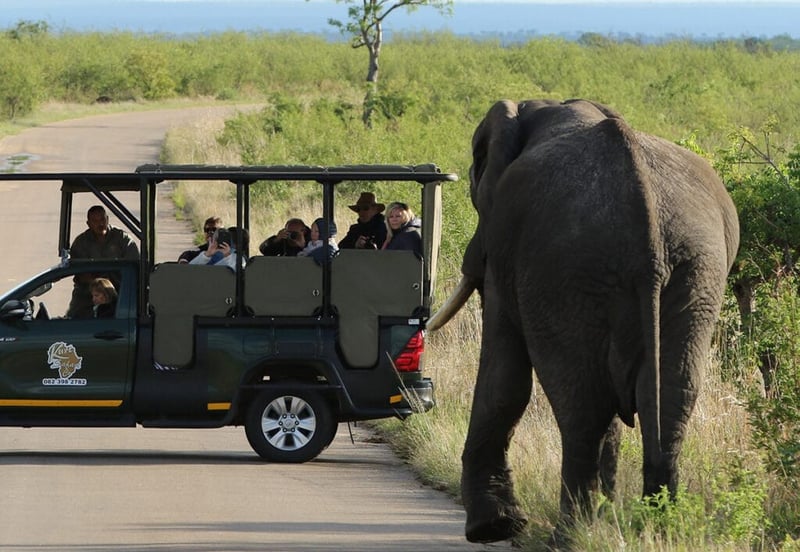 Experience the wonders of the Kruger with a 3 Day Kruger Park Safari