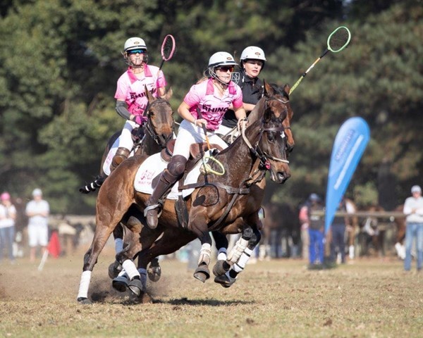 The world’s best head to KZN as South Africa hosts the 2024 Ignition Group Polocrosse World Cup