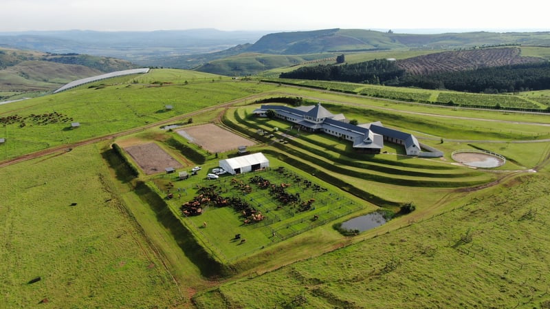 Royal Agricultural Society finds a ‘new home’ at the Mount Verde Estate, Hilton