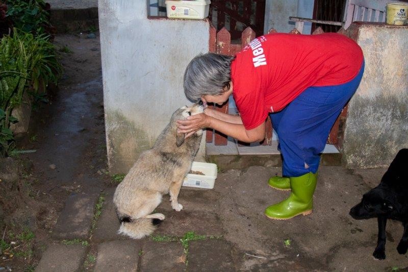 Urgent call for food, blanket, kennel donations for KZN South Coast’s abandoned pets