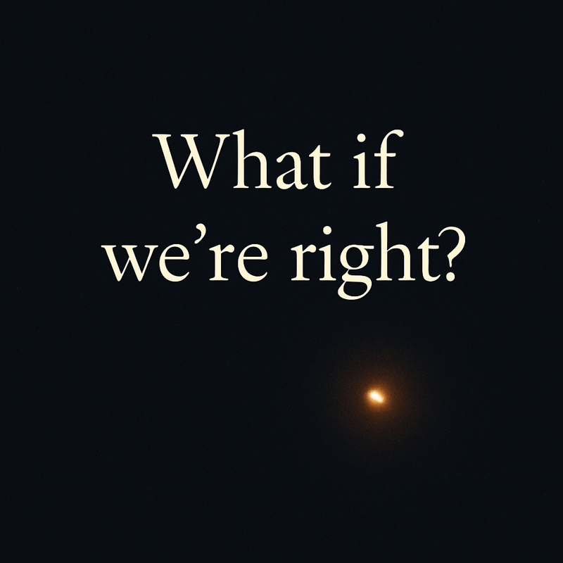 The Signal in the Noise - What if we're not imagining it?