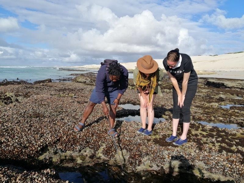 Marine Protected Areas are a massive ecotourism drawcard for South Africa