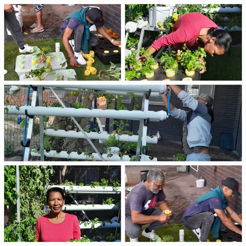 Cultivating Sustainability: The Salesian Hydroponics Eco Ubuntu Project