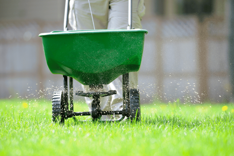 Greenfields Lawn Services Takes Root in Pretoria, Offering Premier Lawn Maintenance, Care, Fertilisation, and Pest Control