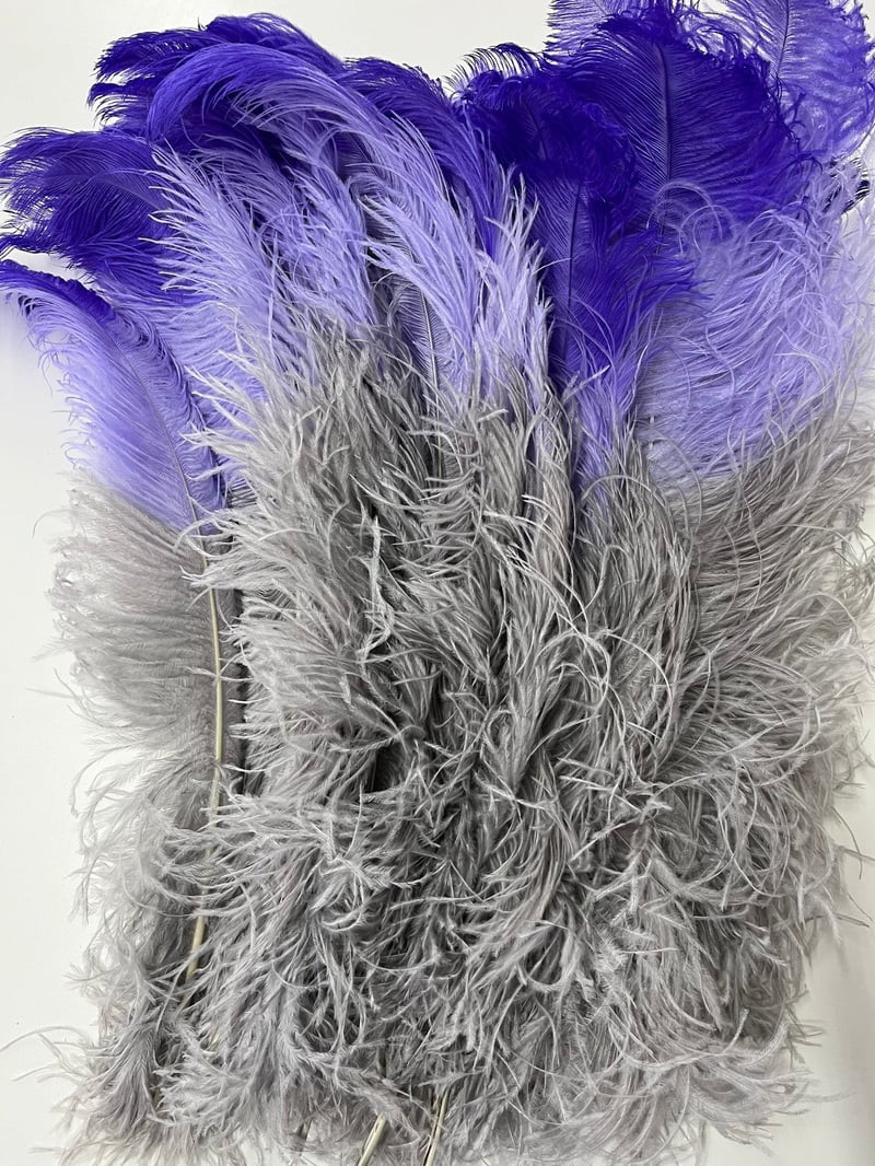 Discover the Beauty and Versatility of Ostrich Feathers