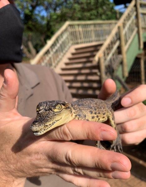 7 reasons the Crocworld Conservation Centre Membership is an ideal Christmas gift!