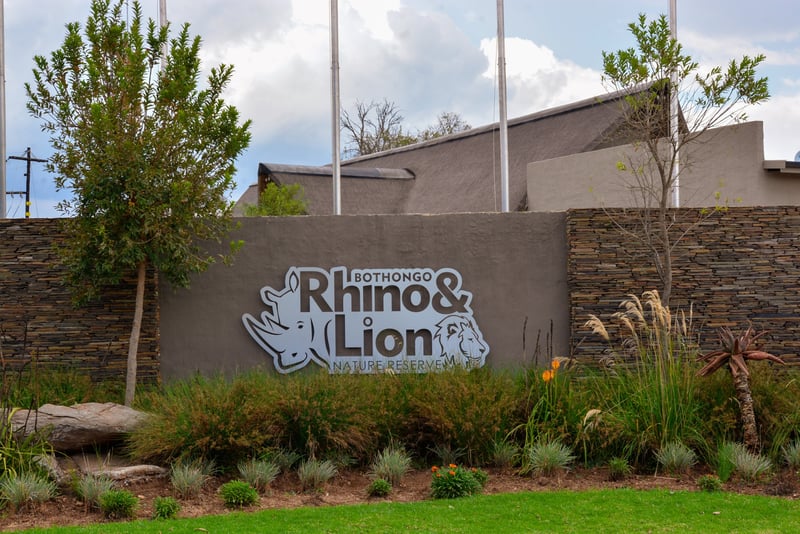 Four Reasons The Bothongo Rhino & Lion Nature Reserve Is The Perfect Family Destination This Easter Weekend