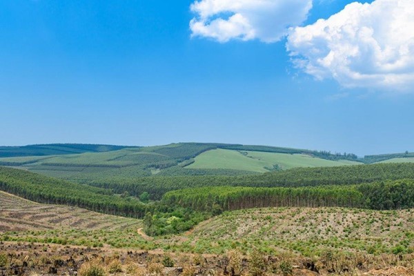 Key opportunities unlocked on the KZN South Coast for local and international investors