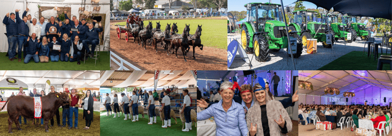 Swartland Show Moorreesburg celebrates 90 years with an event for the whole family