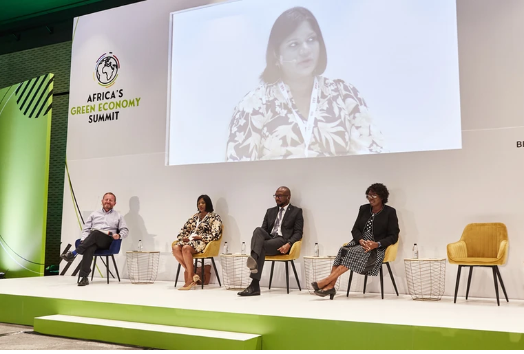 Africa’s Green Economy Summit and Formula E provided extra kick-start for green invasion of the continent