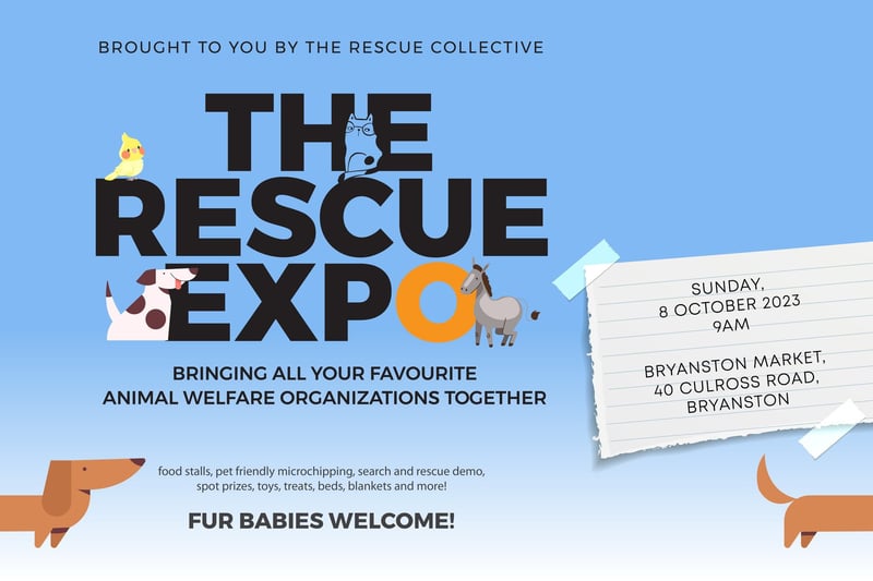 Paws and Applause: The Second Annual Rescue Expo on your doorstep