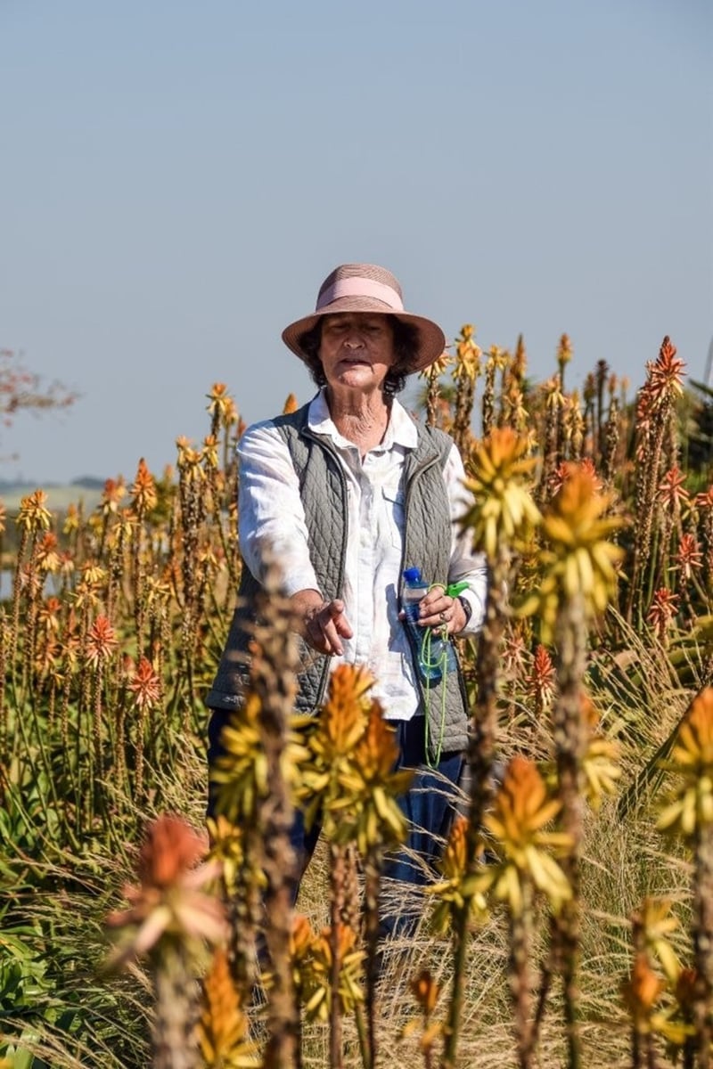 Dr Elsa Pooley set to launch her latest indigenous gardening book at Renishaw Hills