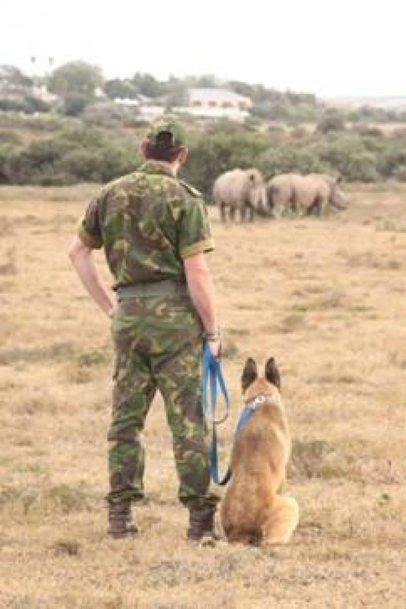 Shamwari Game Reserve Introduces K9 Tracking