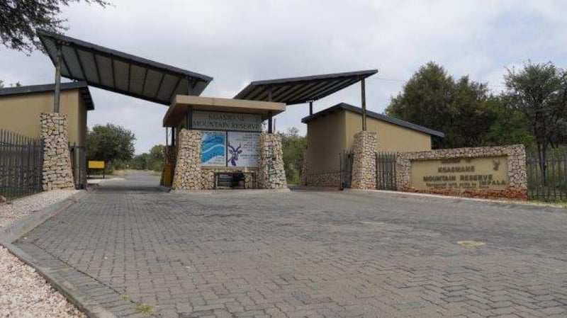 Impala Rustenburg invests in Kgaswane Mountain Reserve upgrade