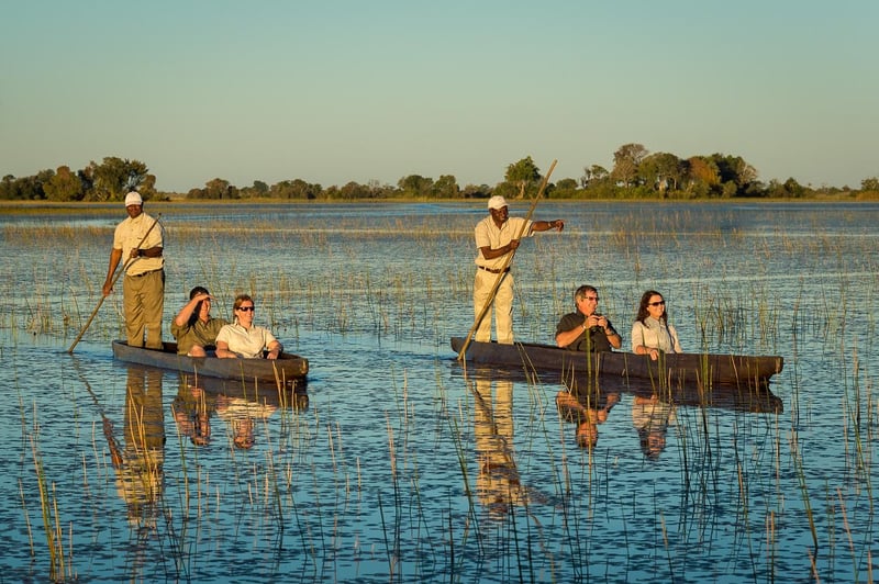 Voyage2Africa Announces Exclusive Botswana Safaris for 2025/2026