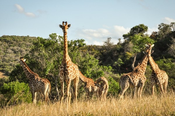 10 Reasons Why the KZN South Coast is Being Considered a Top Film Destination