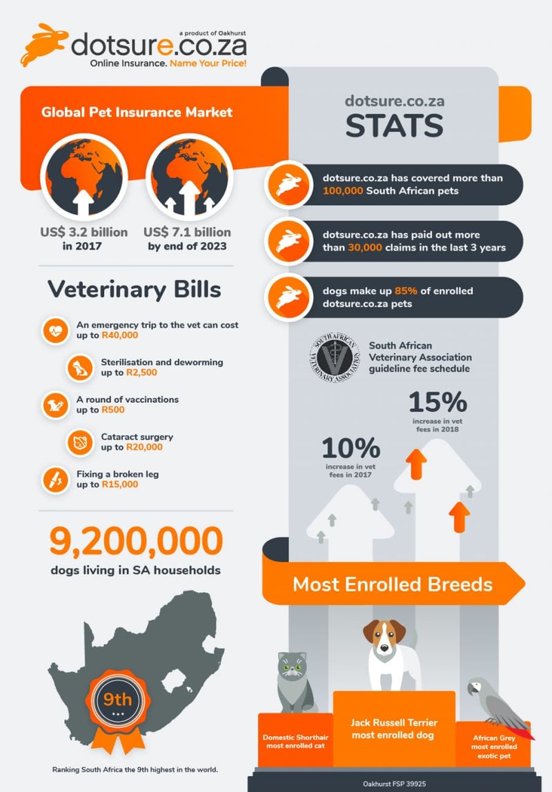 Does having pet insurance really make financial sense? We let the numbers decide.