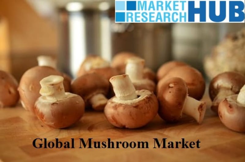 Nutritional Benefits of Mushroom Driving the Growth of the Global Market, Expected to Expand At a CAGR of 8.29%