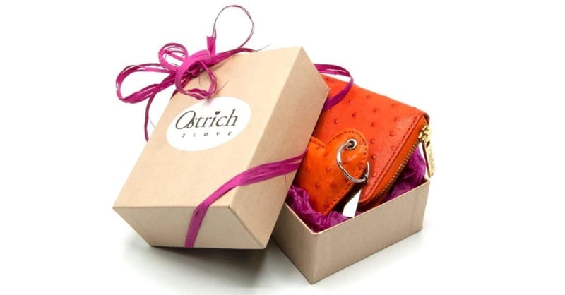 The Luxurious World of Ostrich Leather - Bags, Wallets, and Belts