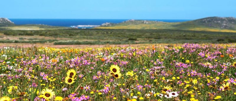 Langebaan Country Estate Weskus Marathon