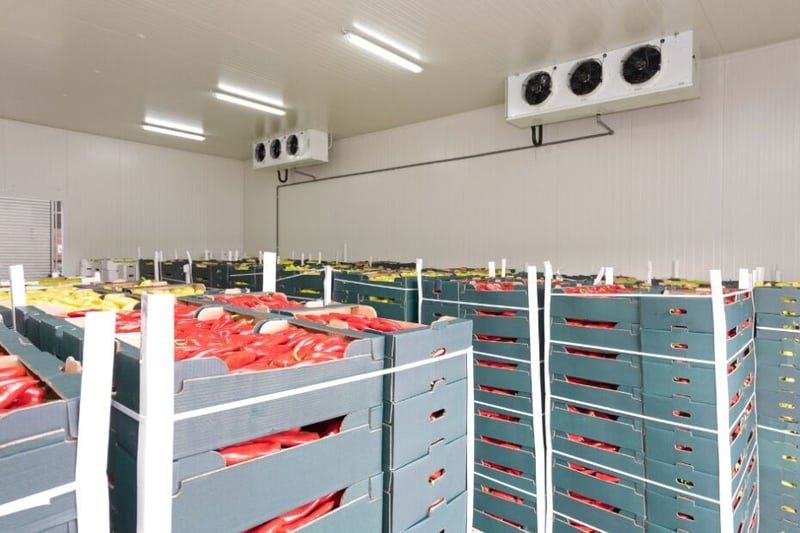 What is Cold Storage?