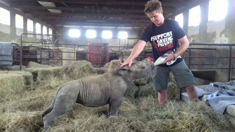 Rhino Orphanage for the Western Cape