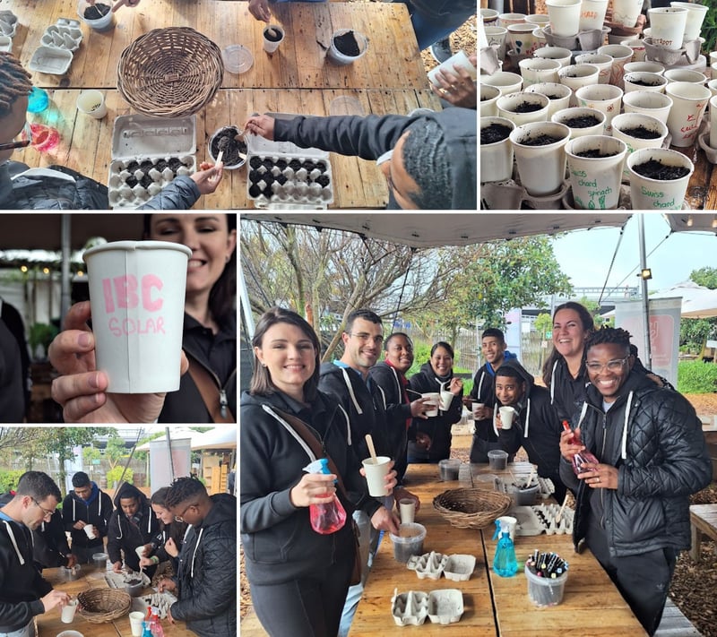 IBC SOLAR South Africa (Pty) Ltd Takes Action on Mandela Day - Planting Seeds for a Sustainable Future