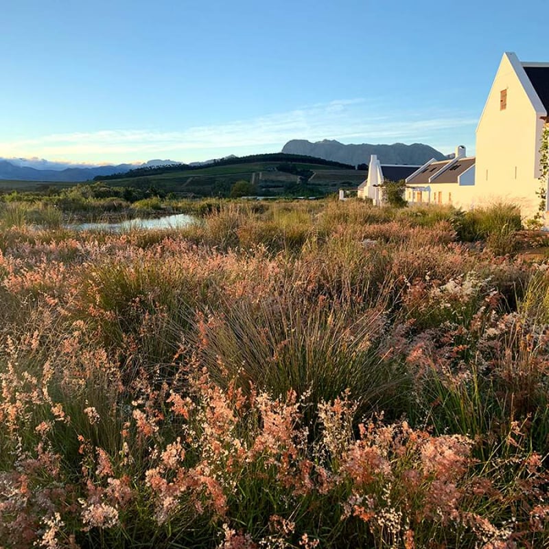 Impressive accolades for Paarl landscapers