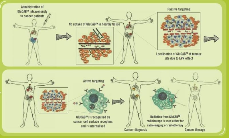 Advancements in Diagnosis & Treatment of Cancer possible with new locally developed Theranostic Technology