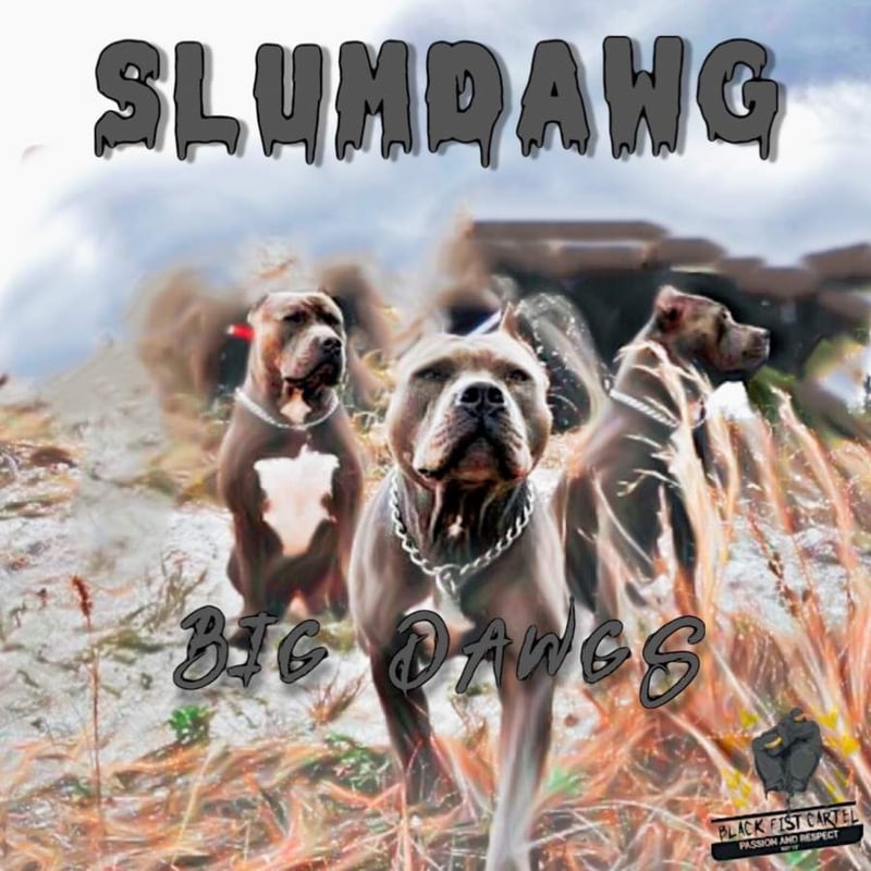 SLUMDAWG releases inspiring new HIP HOP Single ‘BIG DAWGS’ - A song about fulfilling your dreams and rising to the top